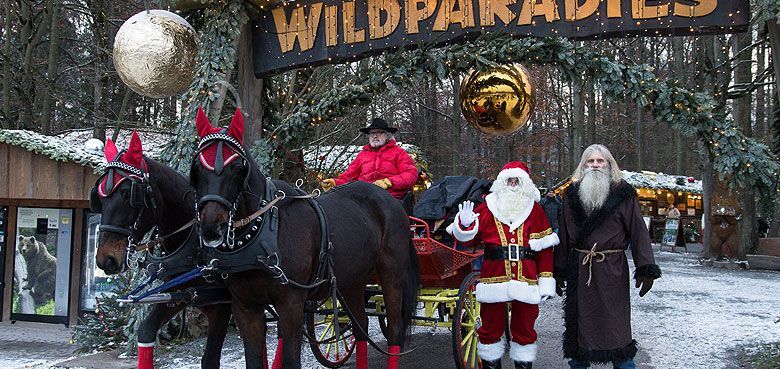 Der Weihnachtsmann mit seiner Pferdekutsche zu Besuch ins Wildparadies Tripsdrill in den WinterWunderWald