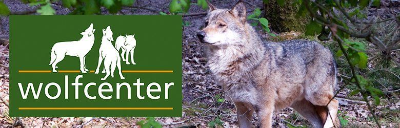 Wolfcenter Dörverden Wolfcenter Dörverden