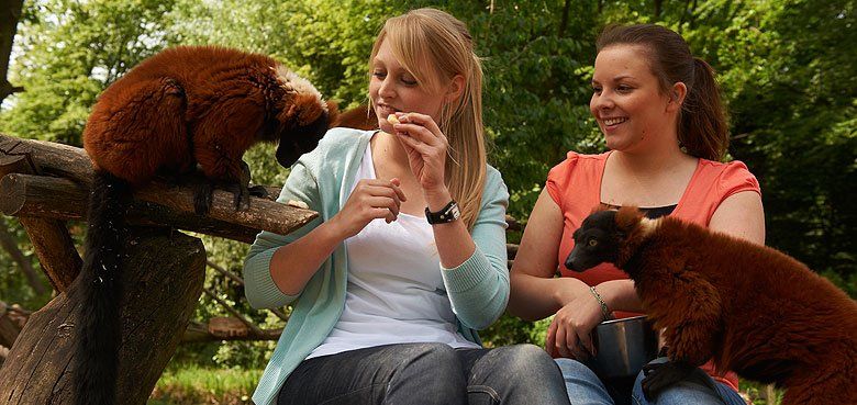 Zoom Erlebniswelt Afrika Zoom Erlebniswelt Afrika