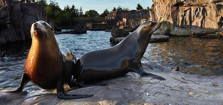 Alaska in der ZOOM Erlebniswelt . Themenbereich Alaska in der ZOOM Erlebniswelt .