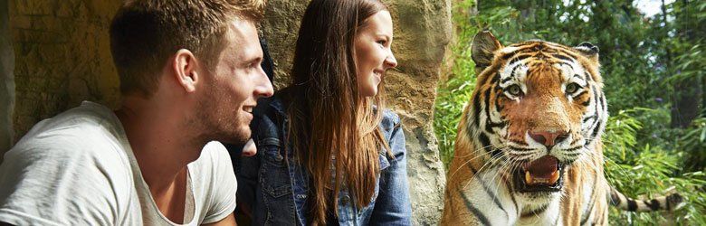 ZOO Erlebniswelt Willkommen in der ZOO Erlebniswelt