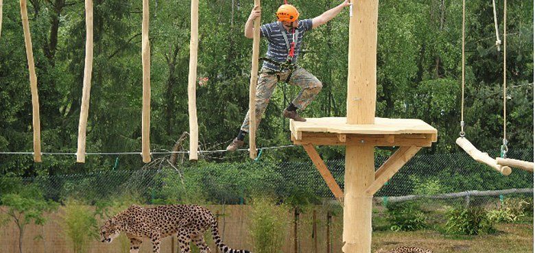 Safariland Stukenbrock Geparden Safariland Stukenbrock Interaktiv ist eine weltweit einmalige Innovation und zugleich ein Projekt das einmalig auf der Welt ist.
