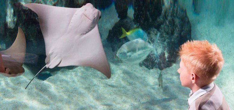 Wildwasser-Rafting Bayern-Park Die Wildwasser Rafting Anlage im Bayern-Park ist die TOP Familienattraktion.