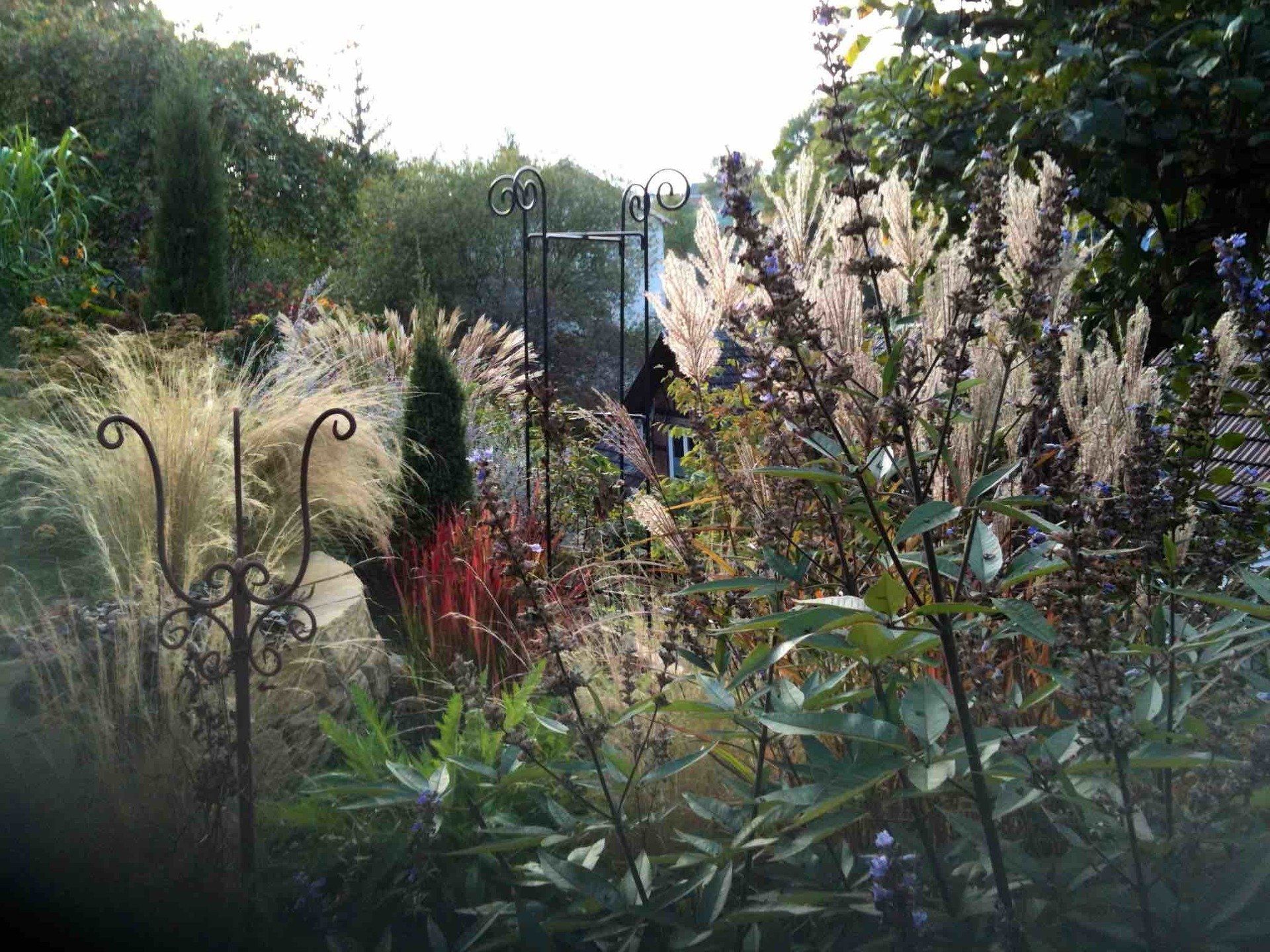 Naturgarten mit Fruchtständen