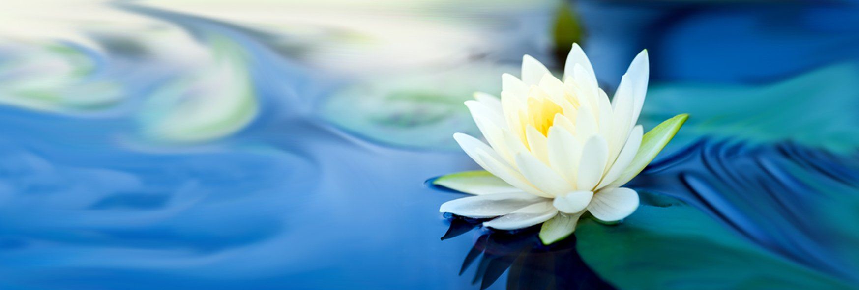 Neurofeedback alsace