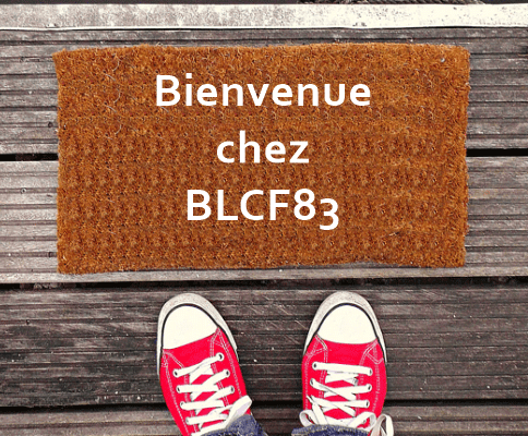 Les travaux avant travaux.... Coordination Sécurité et protection de la santé. Du SPS pur en conseil