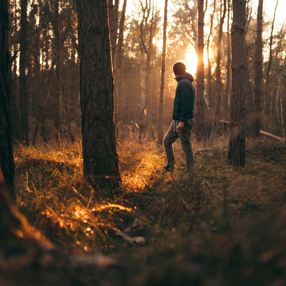 Coaching in der Natur