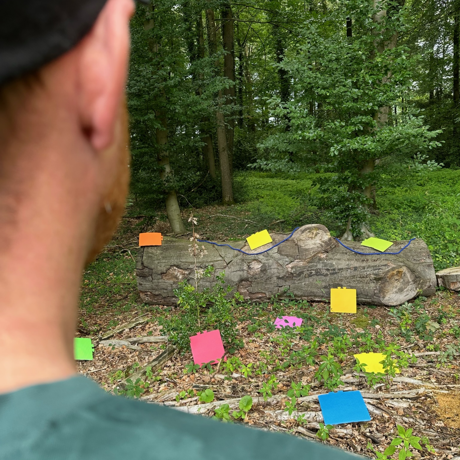 Markus Beckmann: Coaching & Supervision