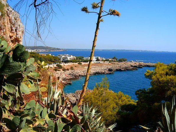 scoperta del salento, città salentine, storia salentina, cultura salentina, tradizioni salentine