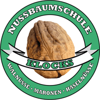 Veredelung von Walnussbäumen Nussbaumschule Klocks