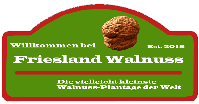 Friesland Walnuss