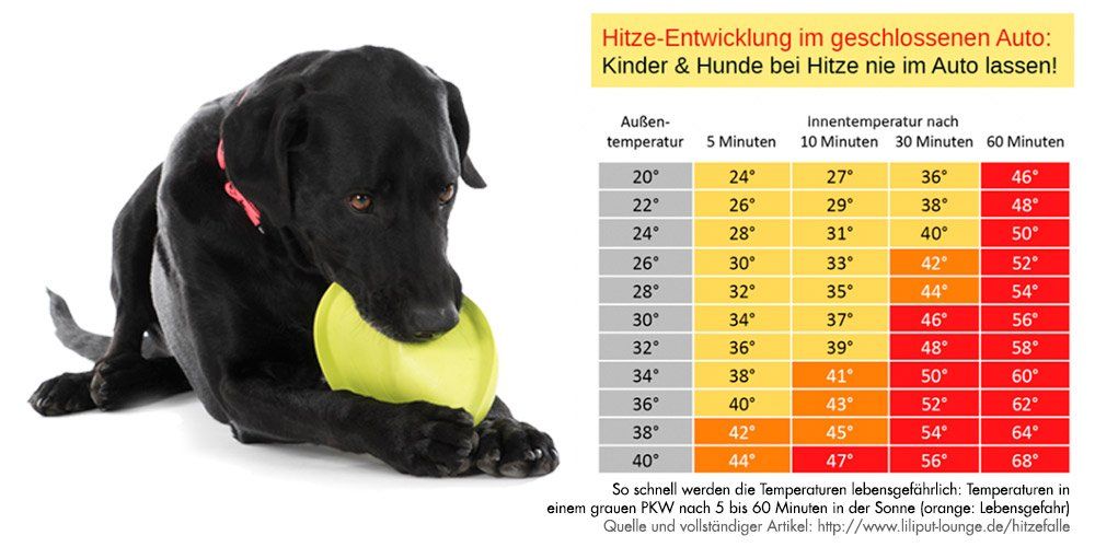 Quelle: http://www.liliput-lounge.de/hitzefalle Hitzefalle Auto