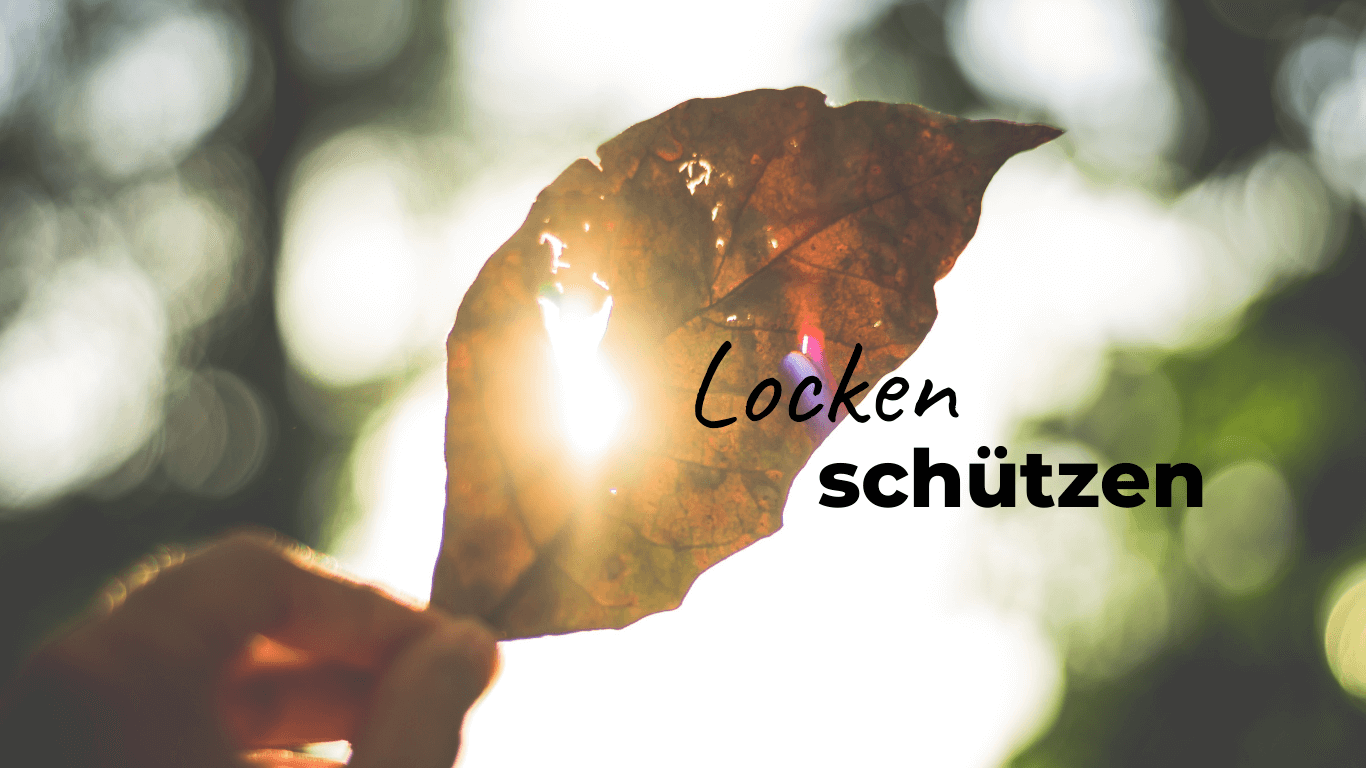 Eine Hand hält ein leicht löchriges Blatt in den Himmel durch das Sonnenstrahlen hindurch scheinen. Daneben der Schriftzug