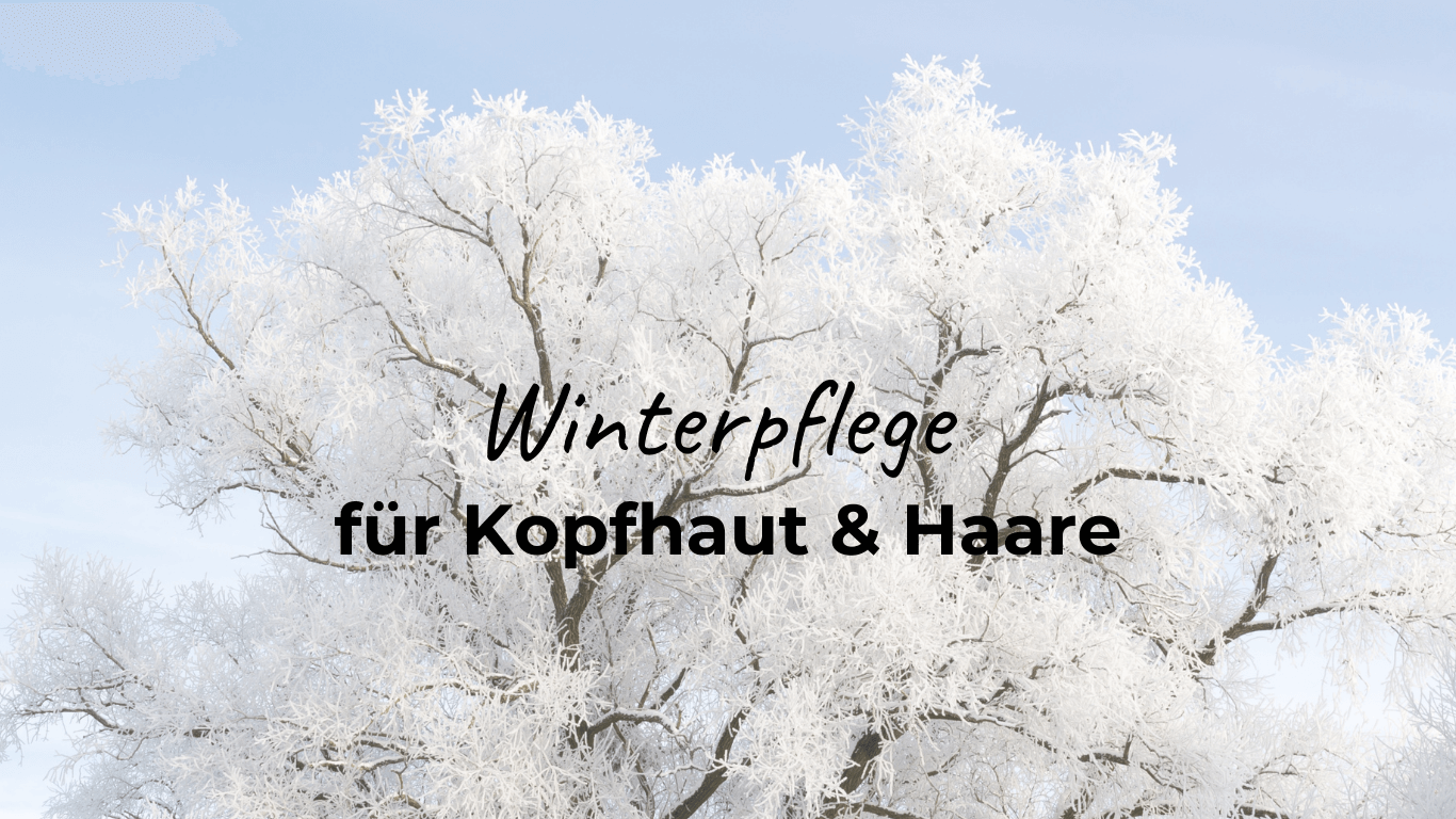 Ein großer Baum mit schneebedeckter Krone. Daneben der Schriftzug