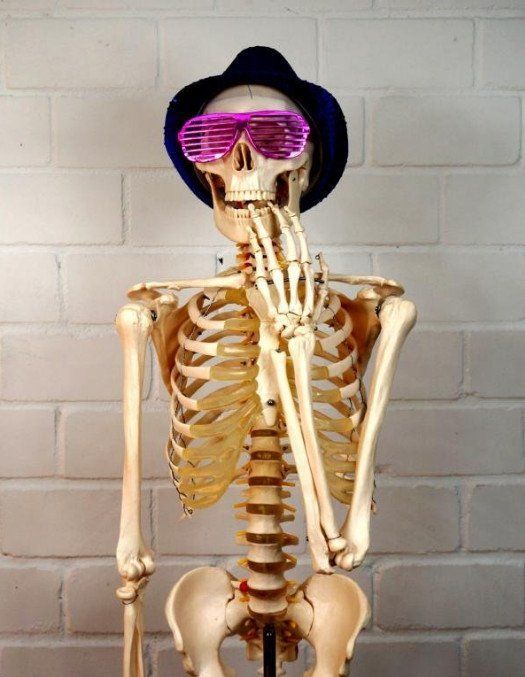 Oscar das Skelett, macht immer eine Gute Figur;-) Oscar das Skelett