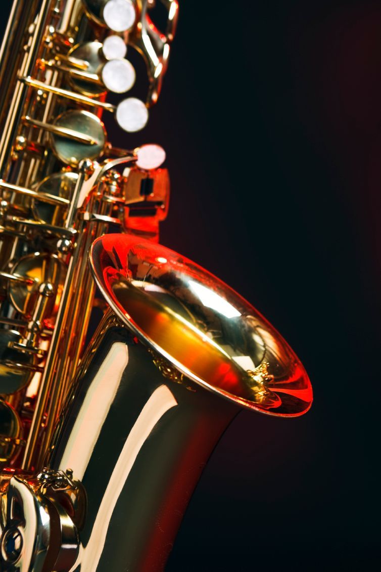 guitarra bajo flamenca clásico ukelele arco violín contrabajo cellos piano teclado batería percusión bongos cajones cajón caja carrillones platos timbales violín flautas cornetas clarinete fagot acordeón trombón trompeta saxo trompa otros