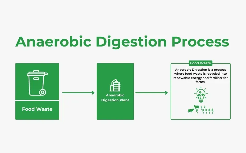 anaerobic digestion process