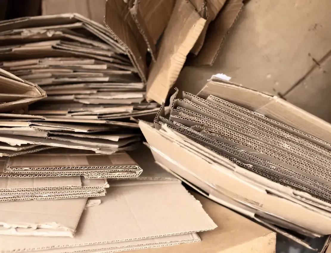 cardboard waste