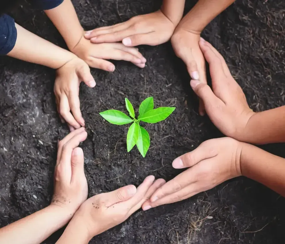 sustainable waste management