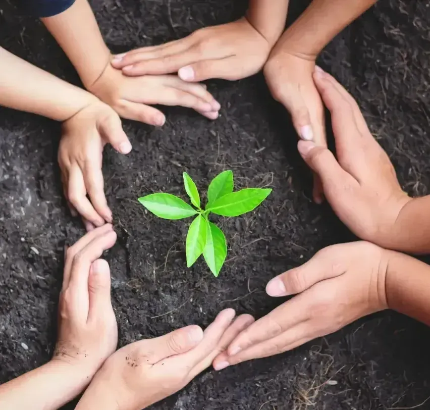 sustainable waste management