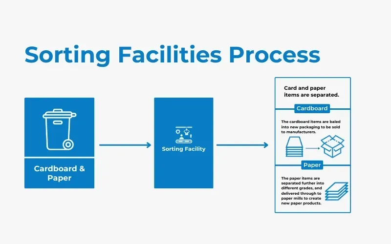 sorting facilities process