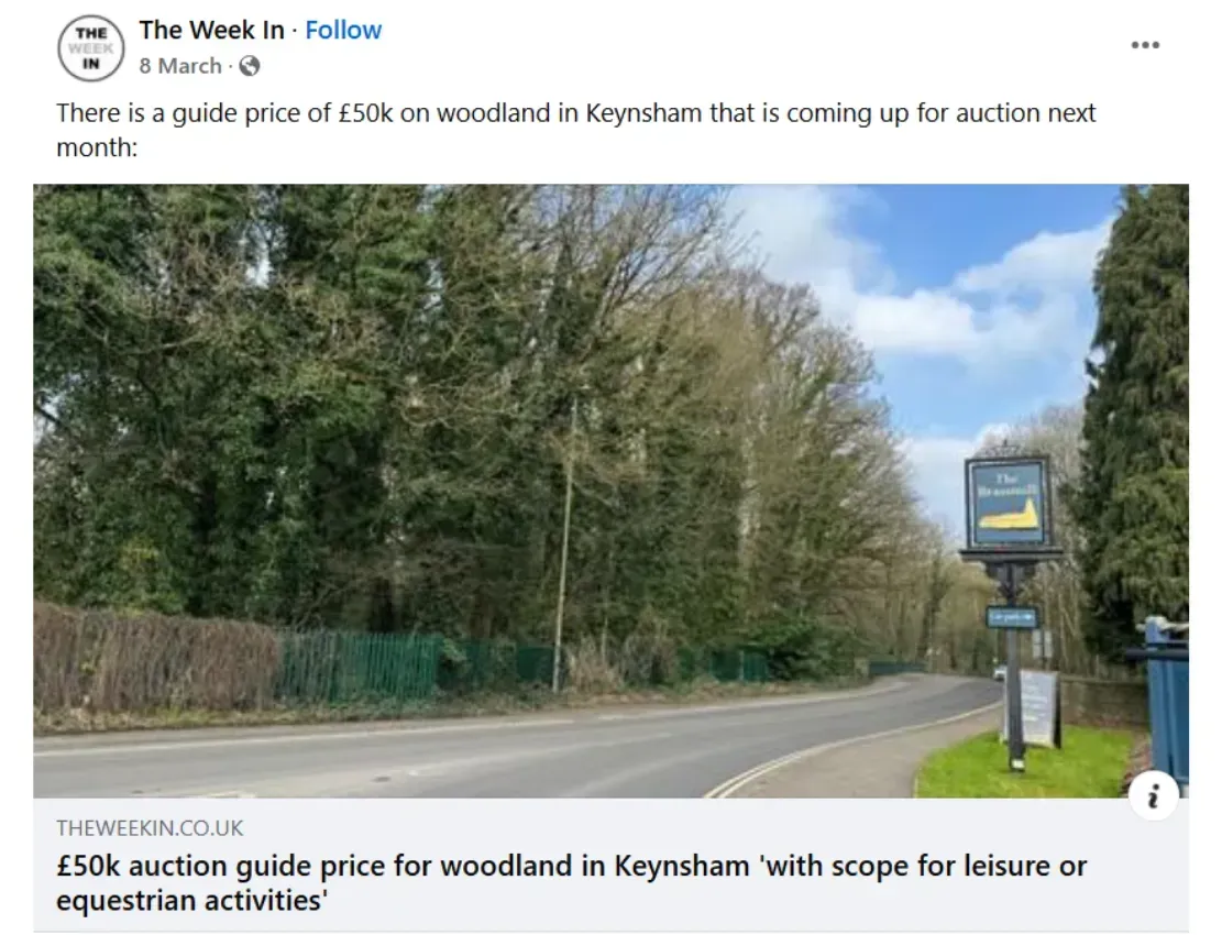 the week in Keynsham woodland auction