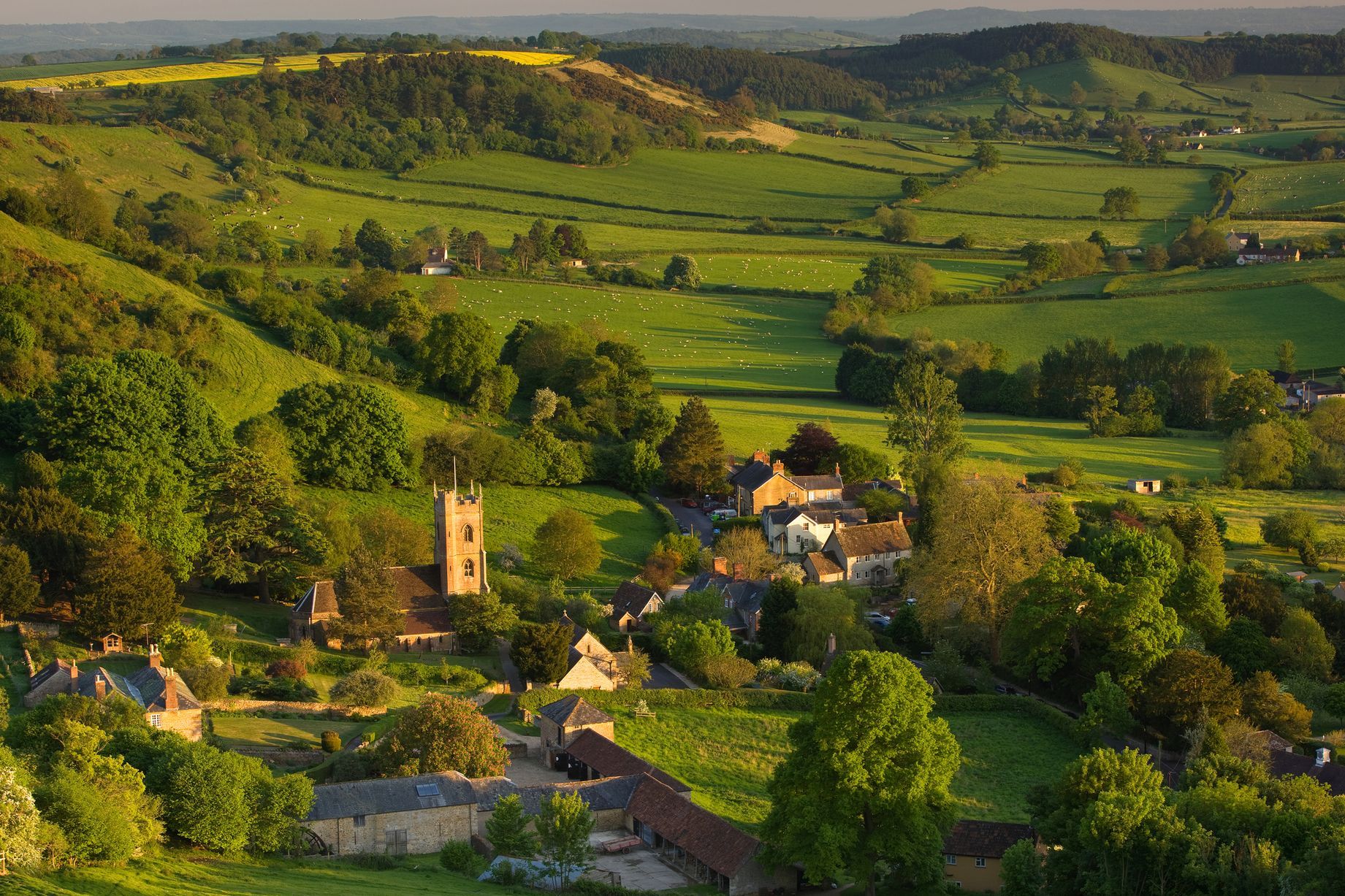 commercial waste somerset