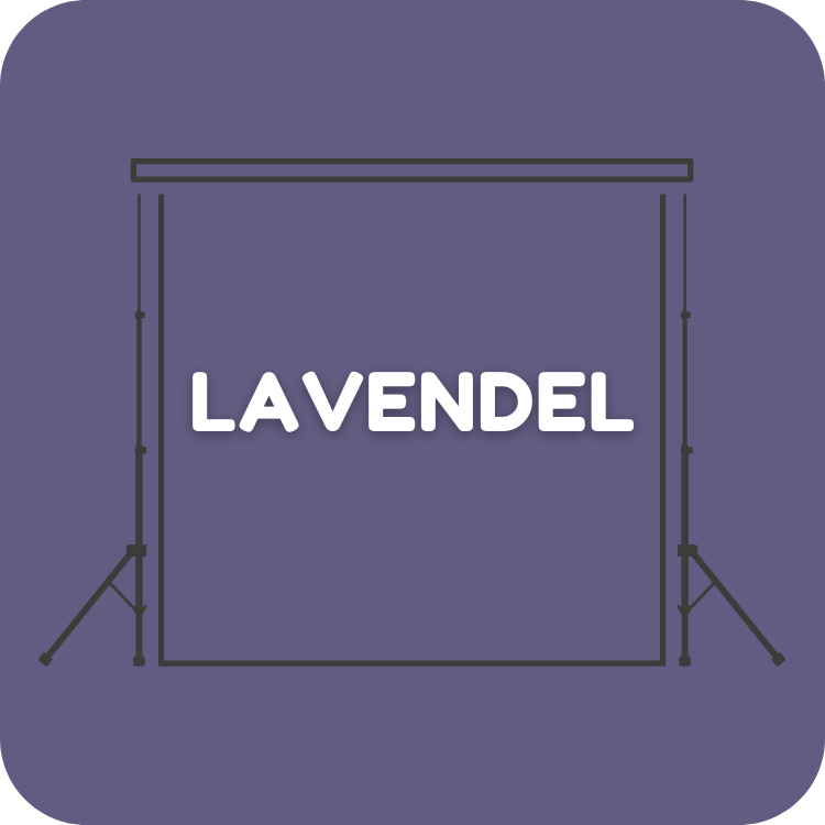 Farbhintergrund Lavendel Fotoshooting Mietstudio Kleines Loft