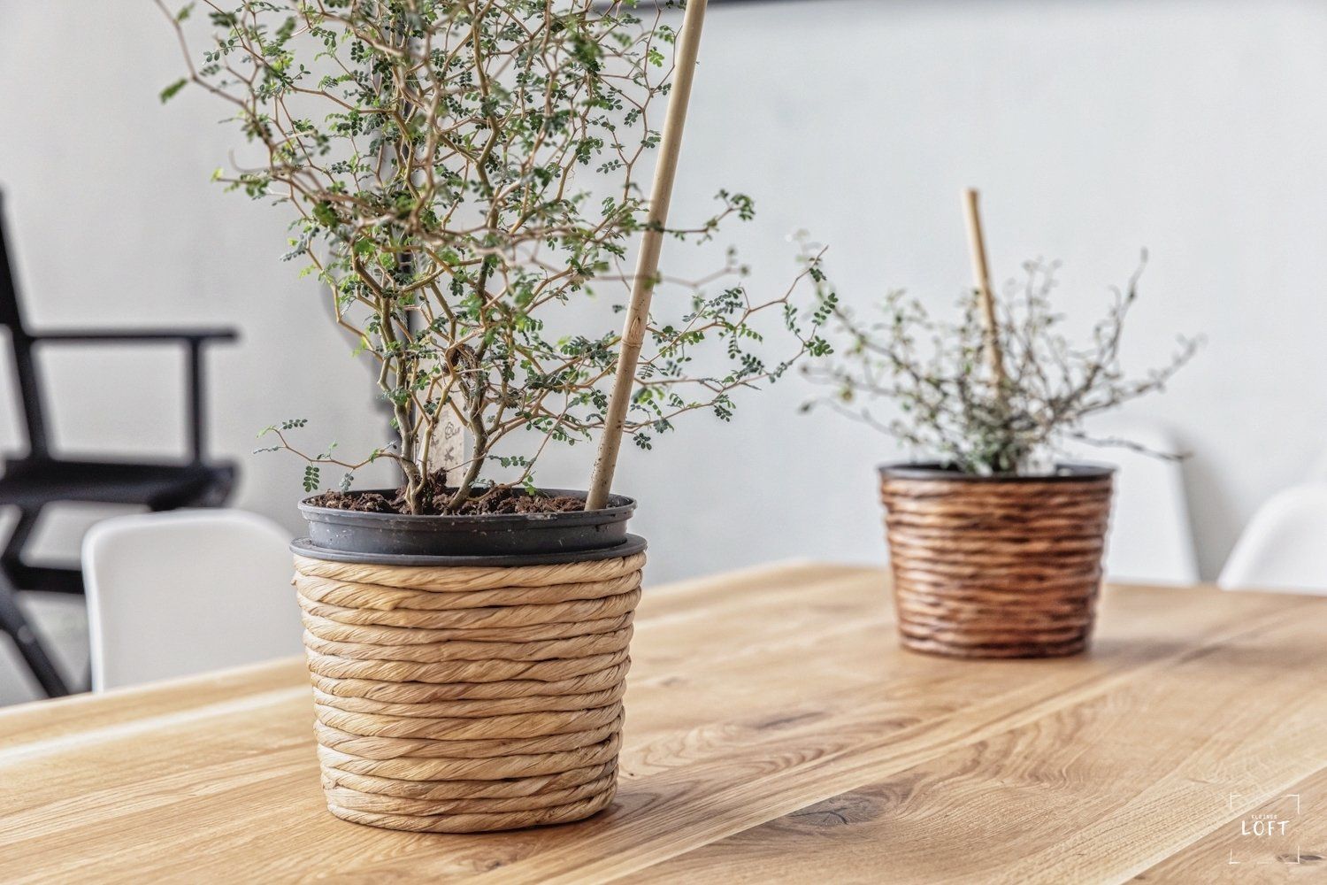 Mietstudio & Seminarraum Kleines Loft Leipzig