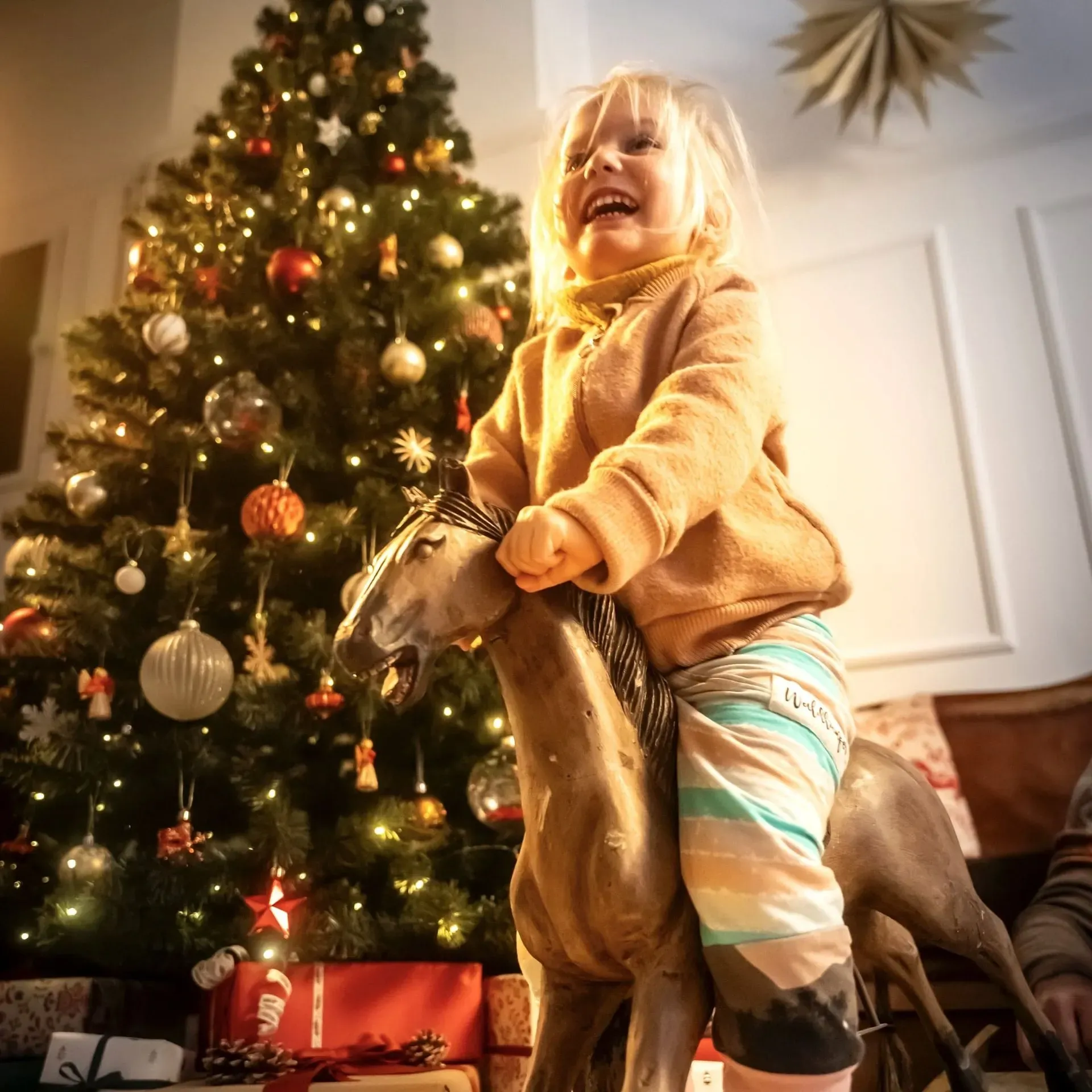 Fotoshooting Weihnachten Familie und Kinder Fotostudio und Mietstudio Kleines Loft Leipzig Weihnachtsdekoration