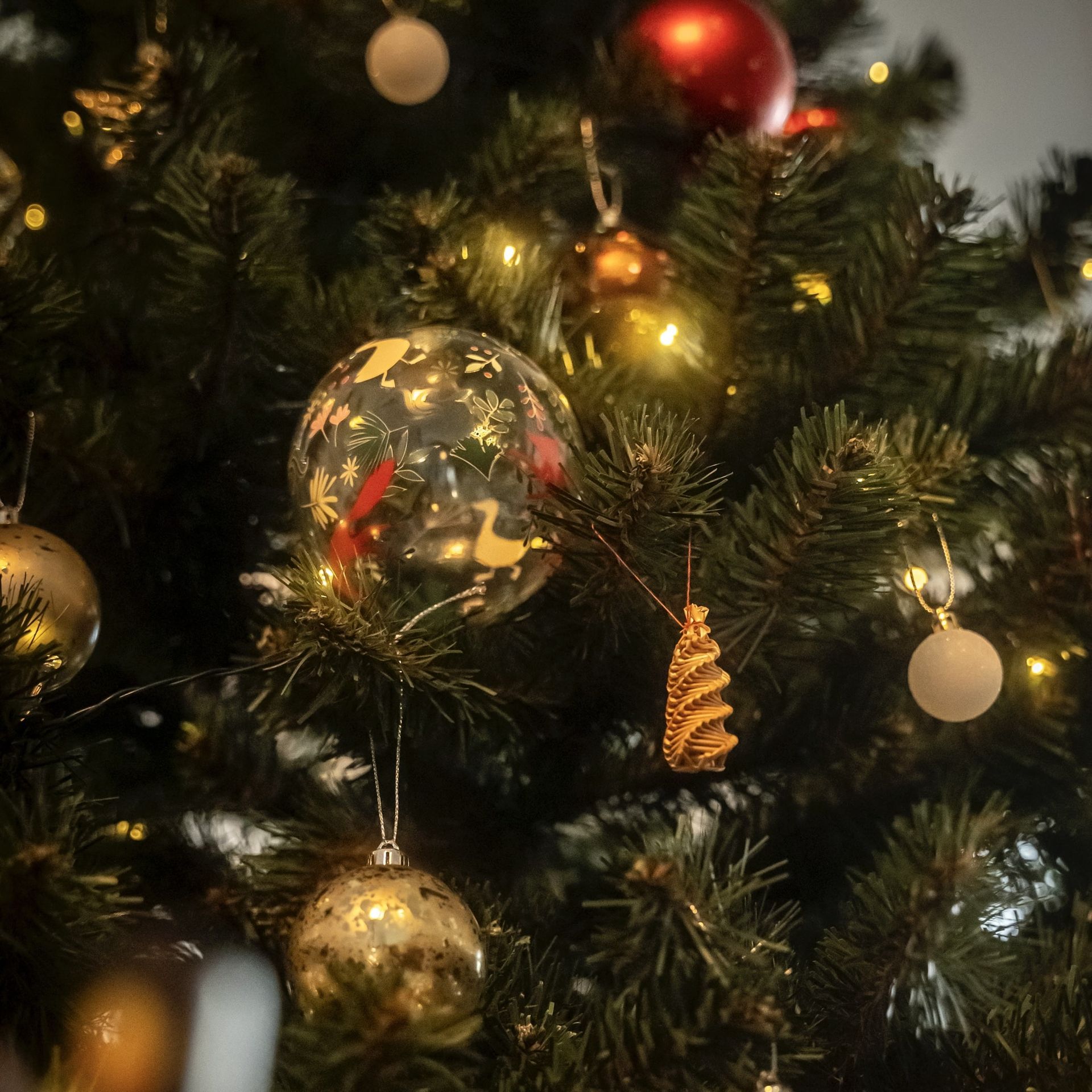 Fotoshooting Weihnachten Familie und Kinder Fotostudio und Mietstudio Kleines Loft Leipzig Weihnachtsdekoration