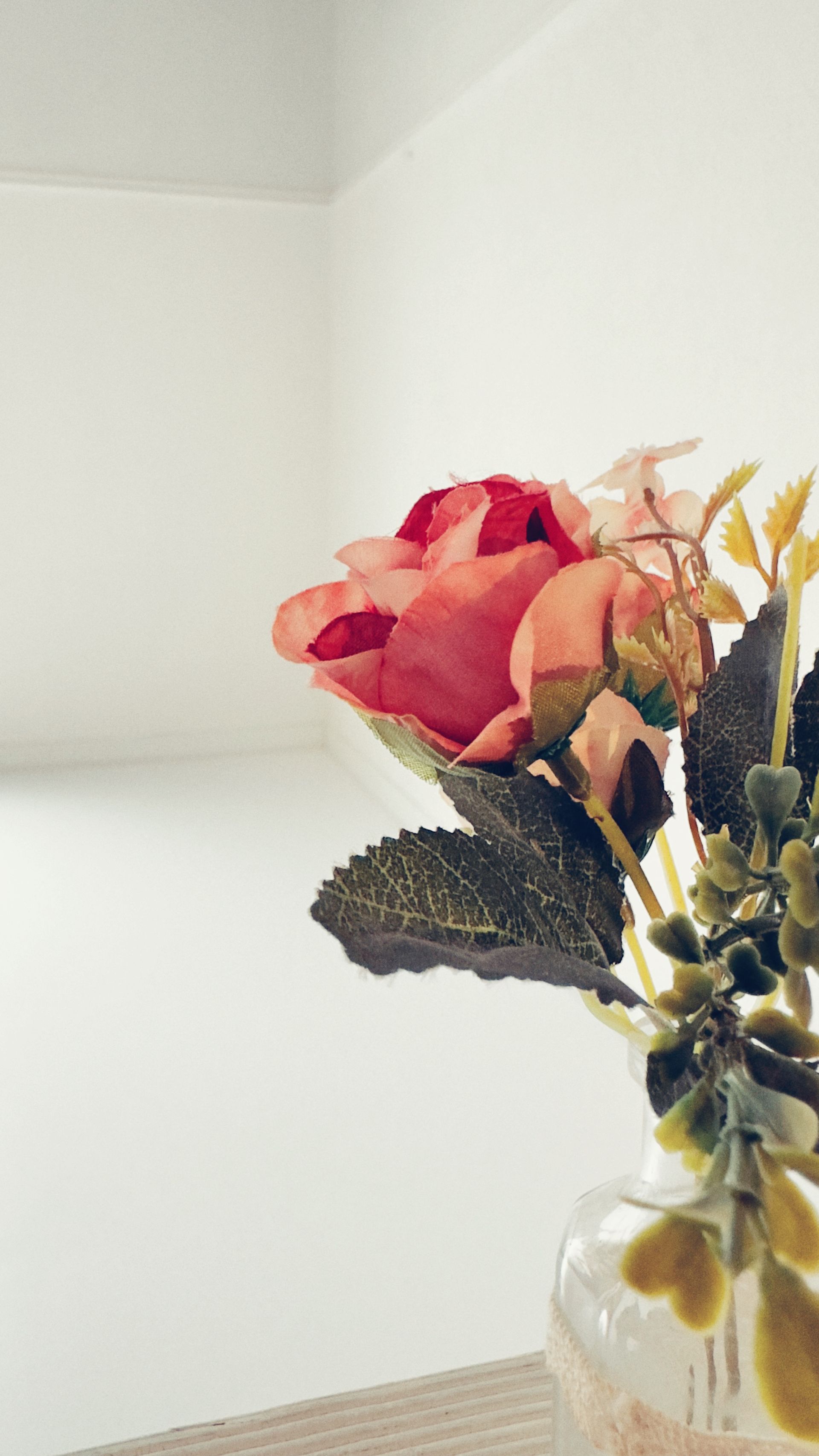 Tageslichtstudio Leipzig