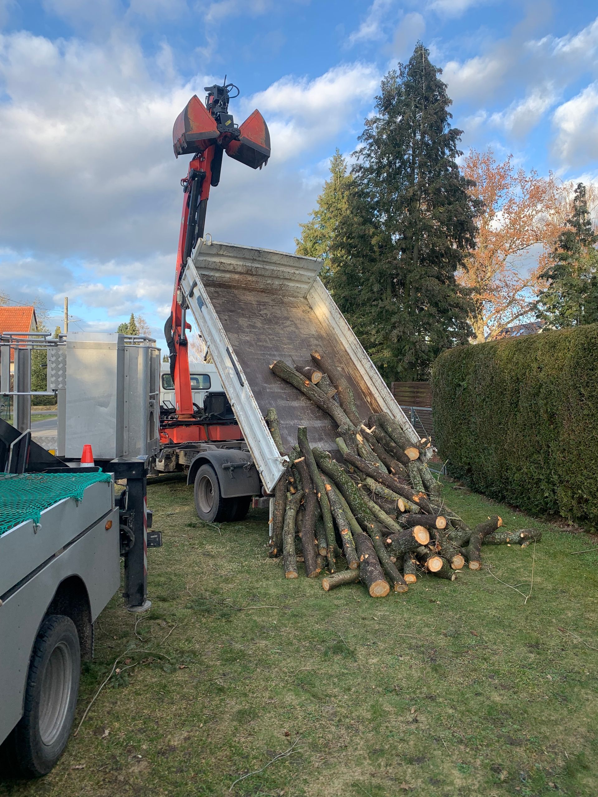 Baumstämme werden vom LKW abgeladen