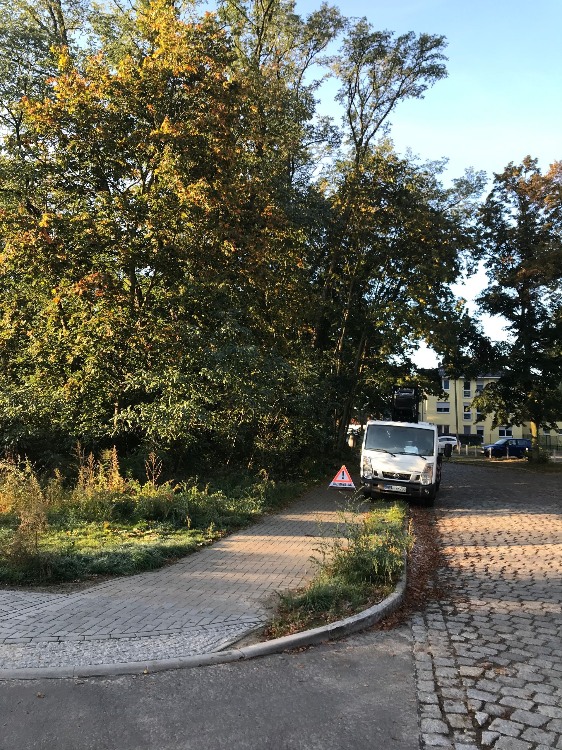 Warnhinweisschild auf der Strasse wegen Baumfällung
