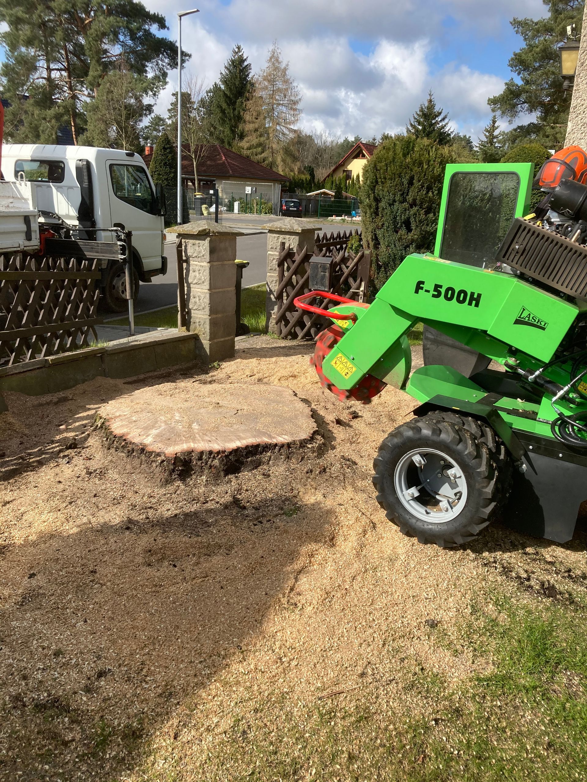 Baumstumpf vor dem Abfräsen