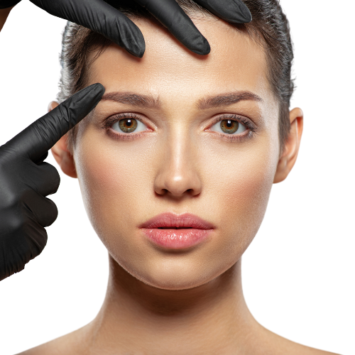 Découvrir qui nous sommes