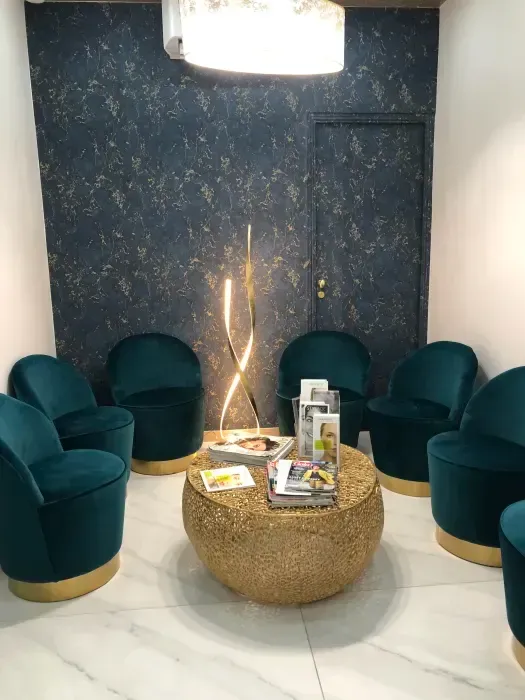 Le docteur Limaiem-Joumni