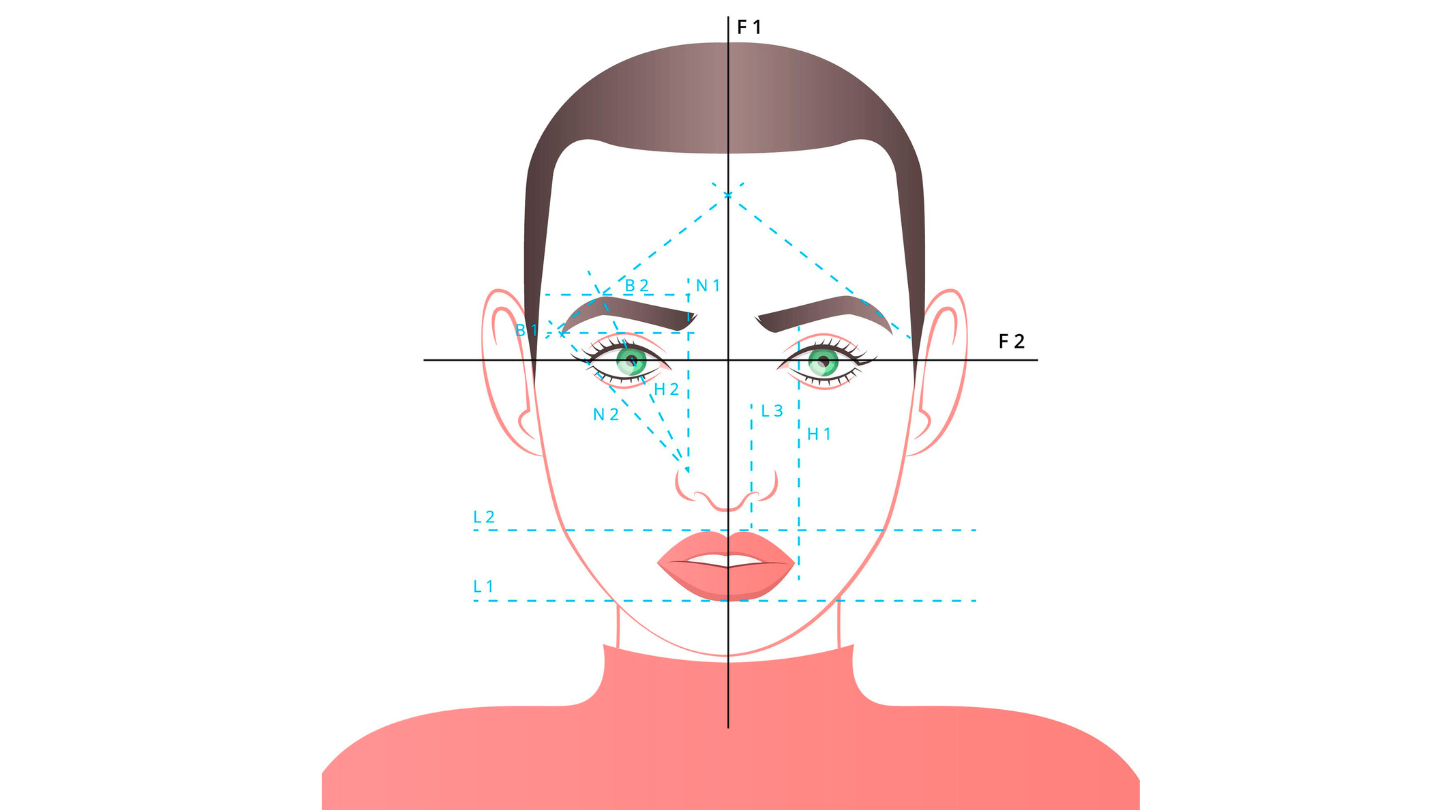 proportion du visage en esthetiqu