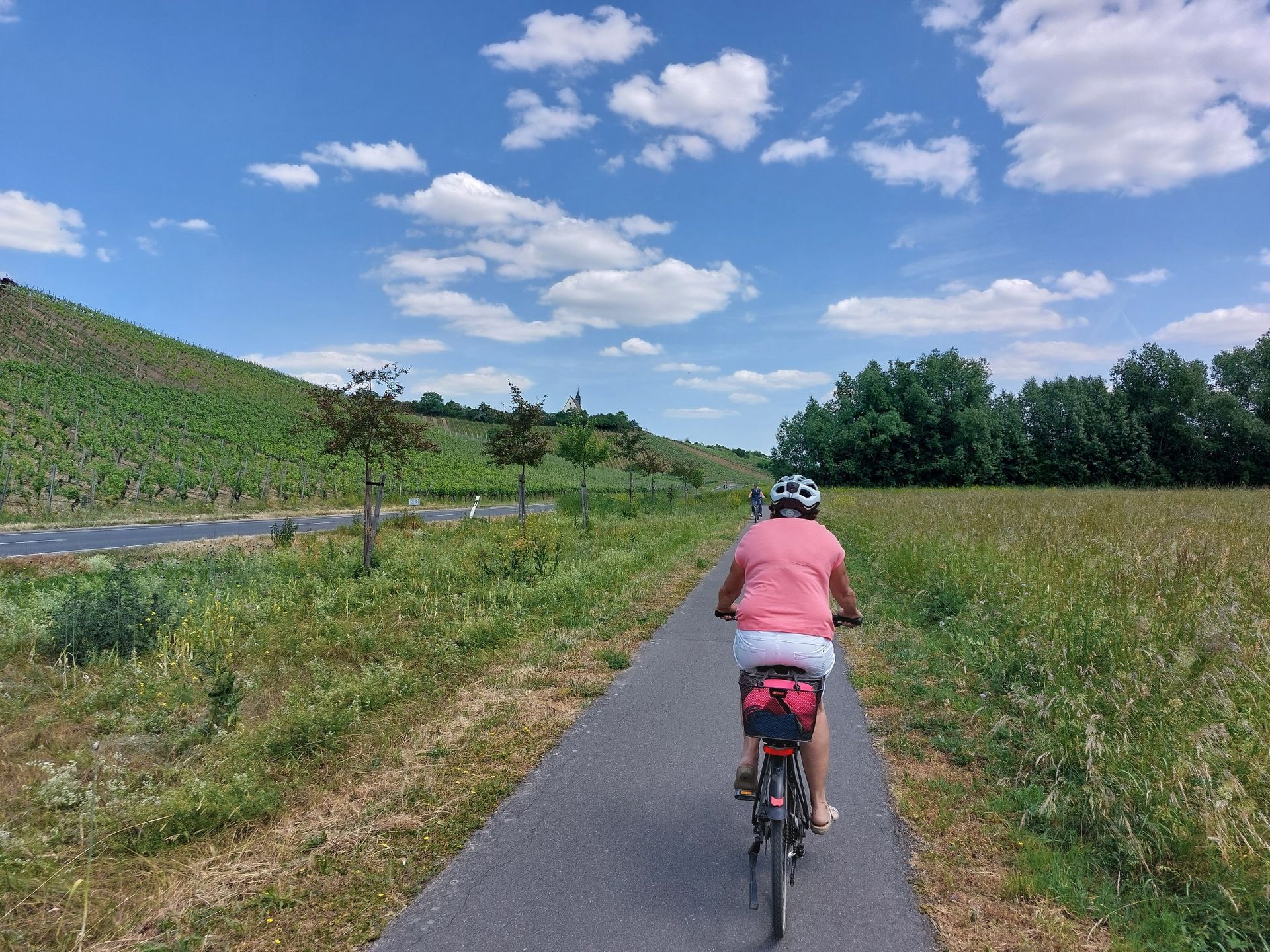Fahrradfahrer am Mainradweg Fahrradfahrer am Mainradweg