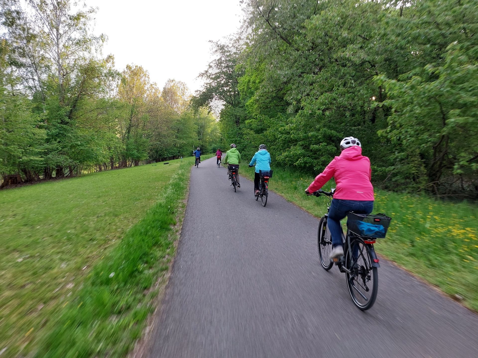 Mainradweg bei Stammheim Fahradfahrer am Mainradweg