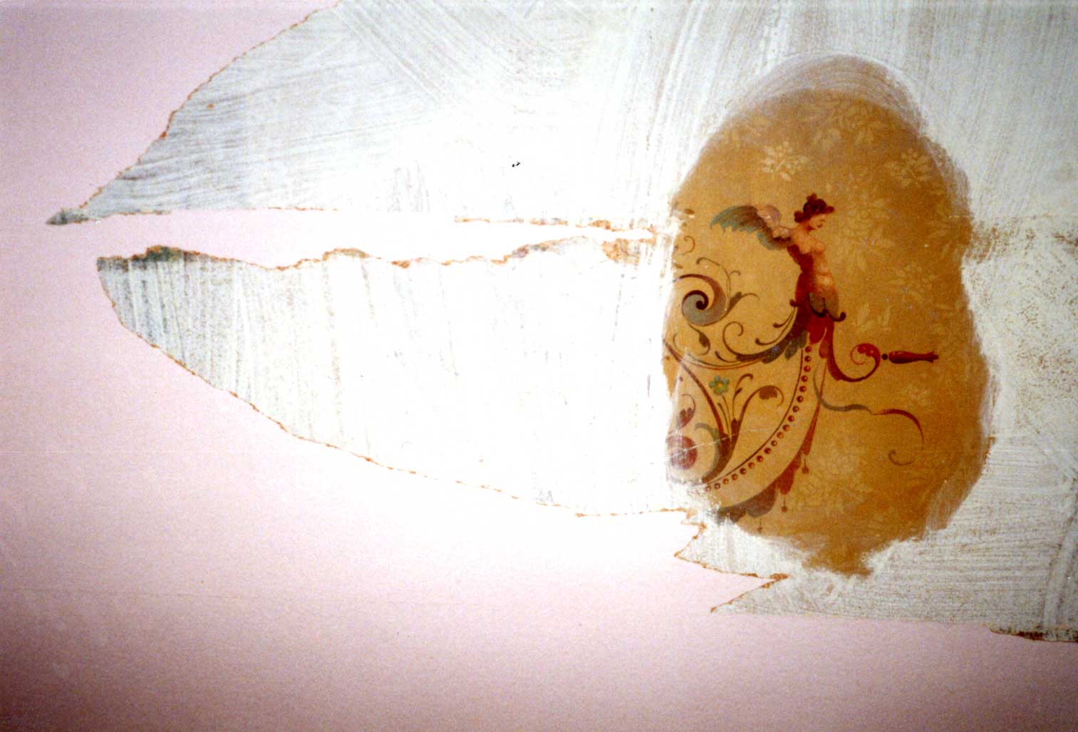 Entdeckung und Freilegung der Deckenmalerei Elsbethstraße 12, hofseitiges Zimmer