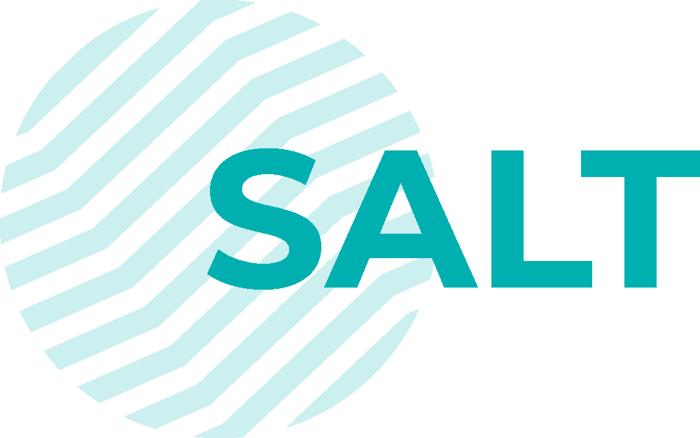 logo Akeron  SALT