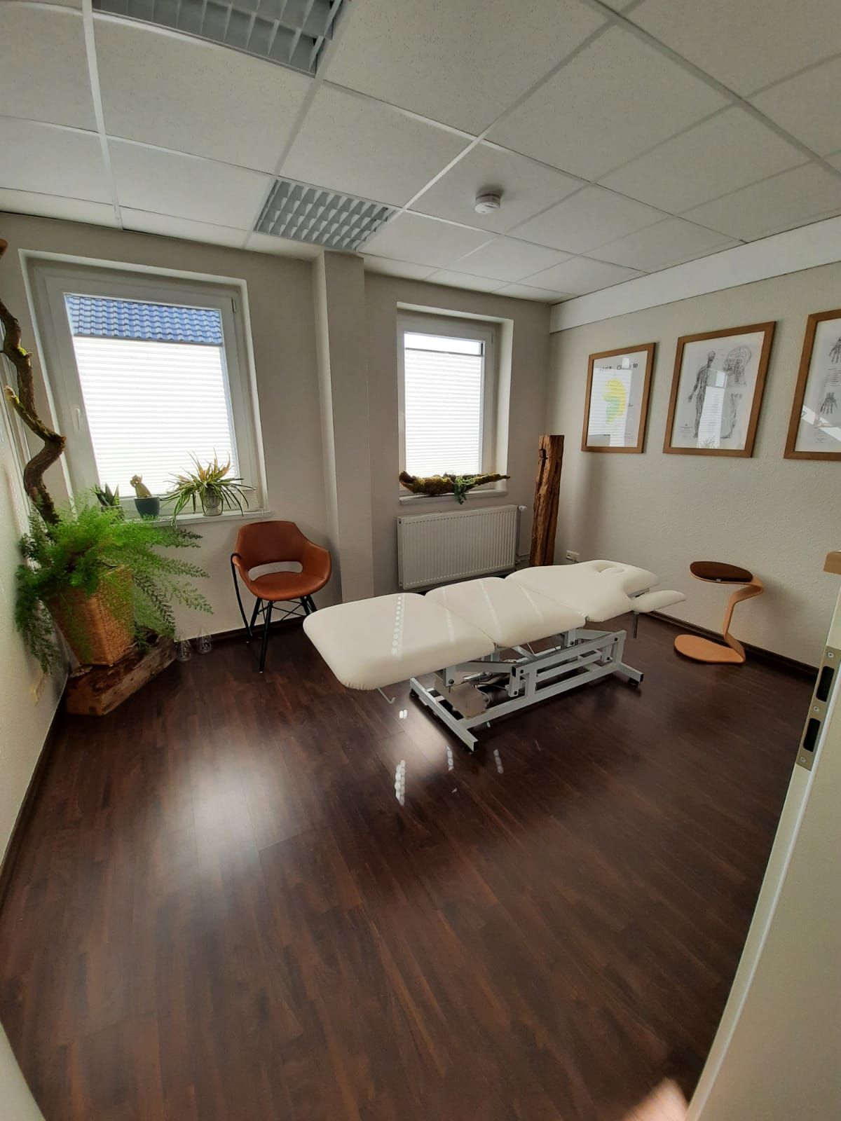 In einem Behandlungsraum der Akupunktmassage nach Penzel – mit Liege, Pflanzen und Stuhl für eine entspannte Atmosphäre.