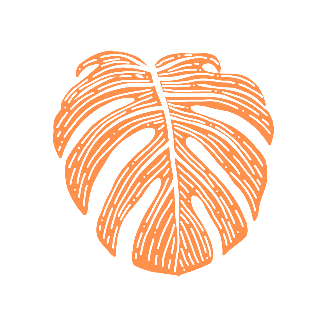 Monstera Leaf