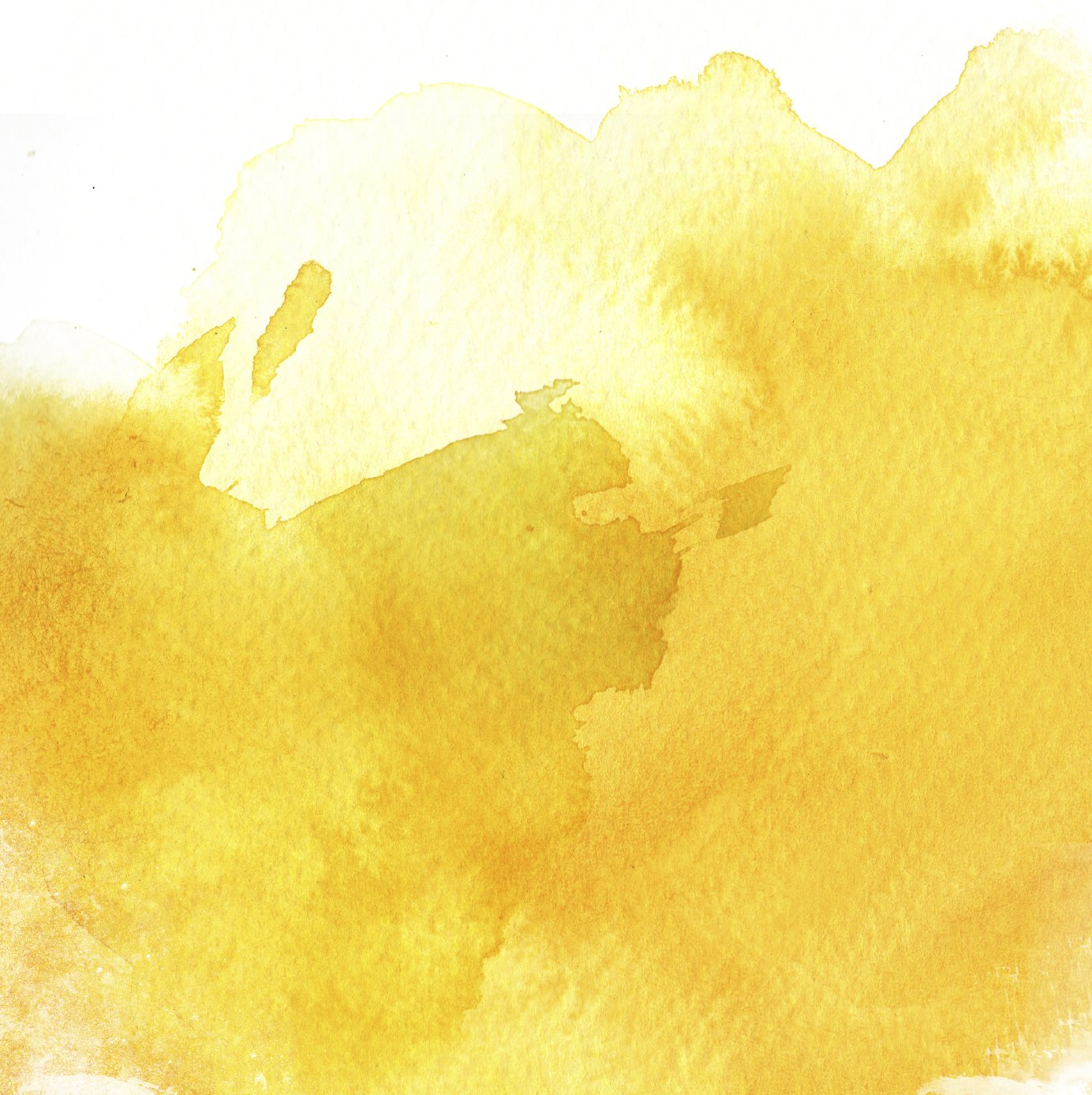 Magersucht, Bulimie, Adipositas, Binge-Eating - Psychotherapie