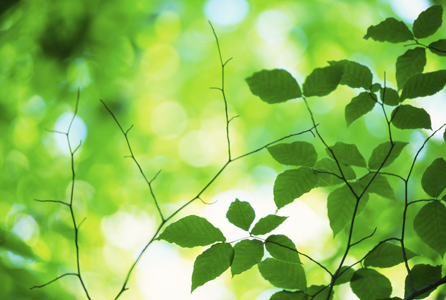 Suizidalität/Selbsttötungsgefahr - psychologische Hilfe