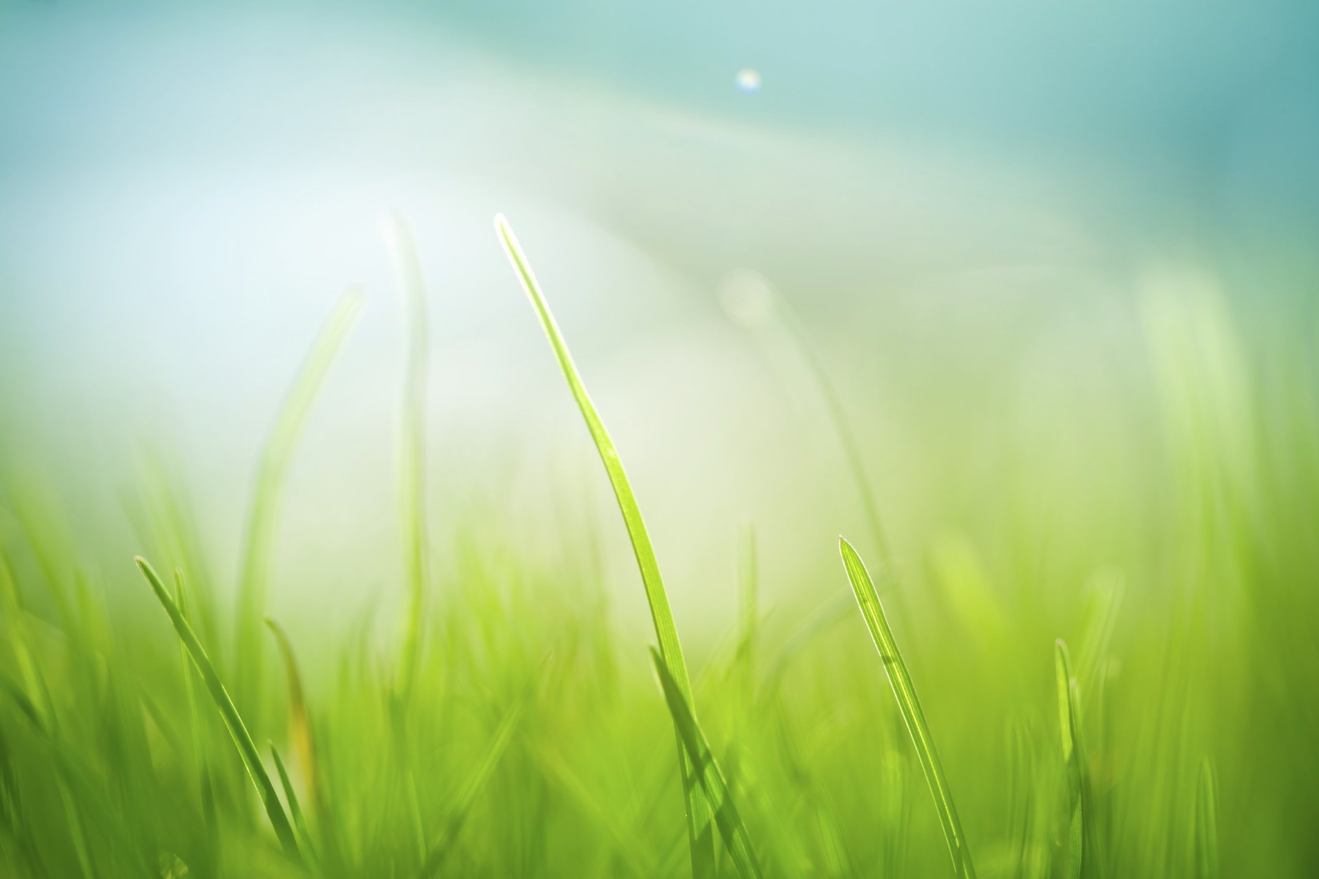 ADHS bei Erwachsenen - Symptome und Besonderheiten