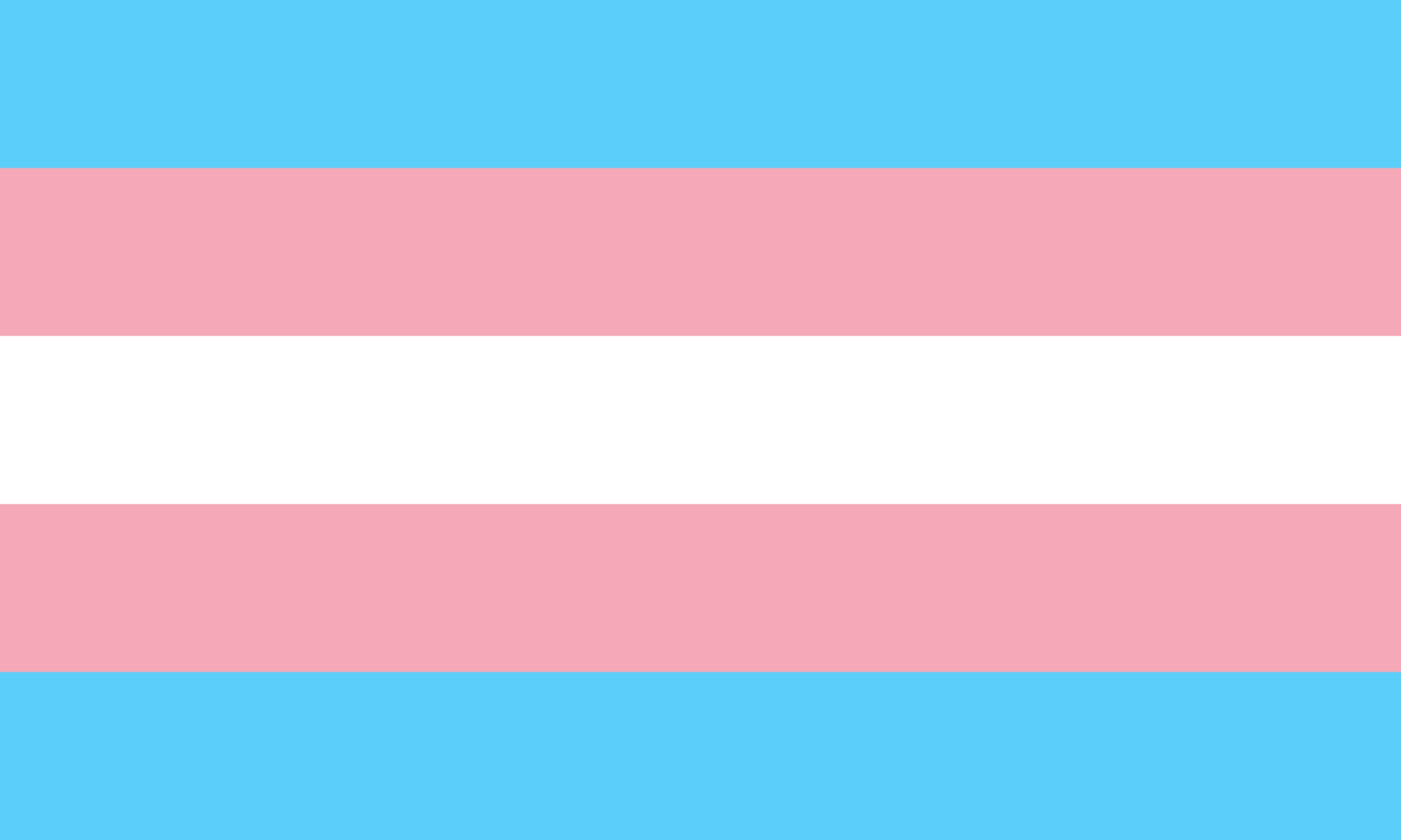 Trans*Identität in Familien