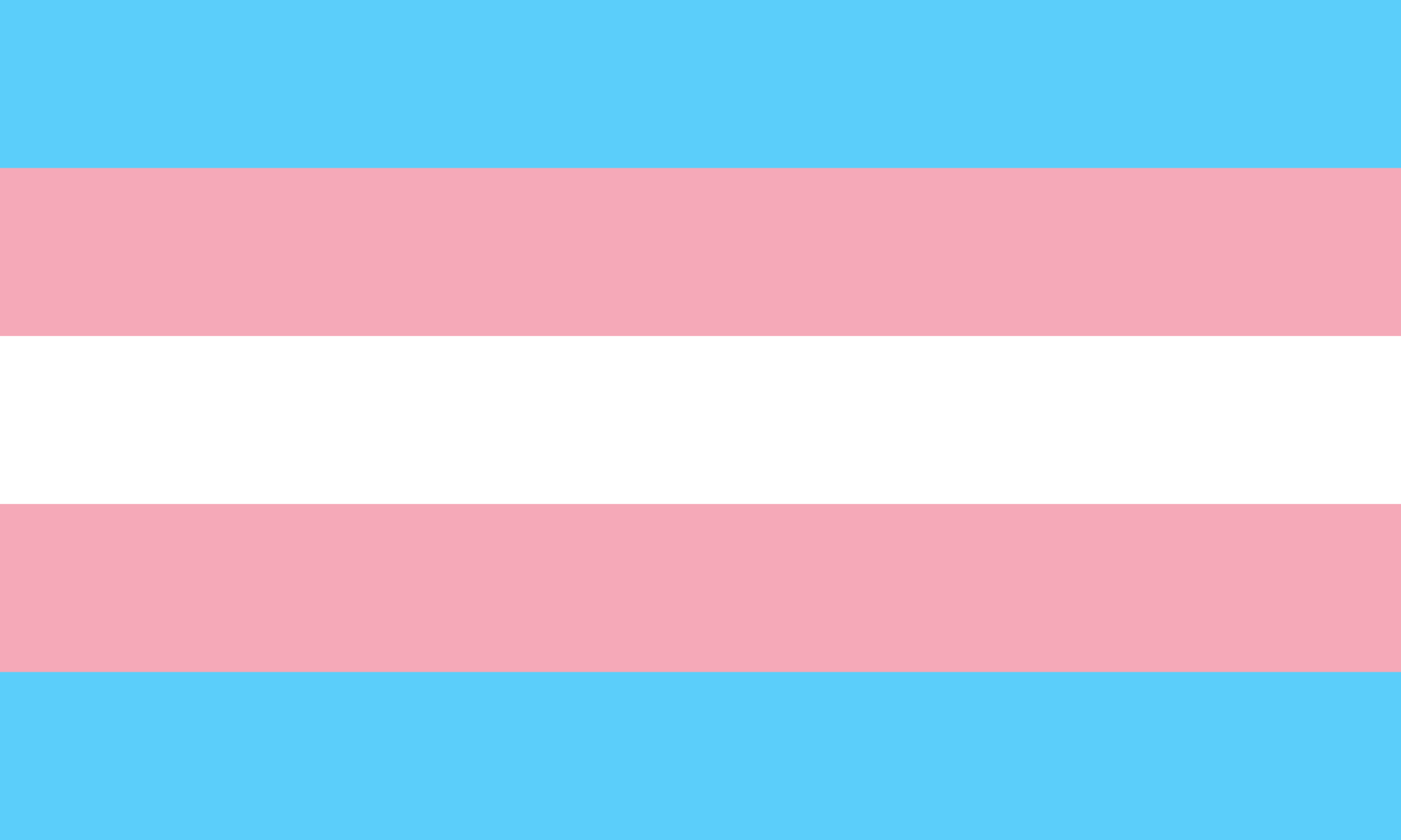 Flagge, die Solidarität für trans*idente Menschen signalisiert