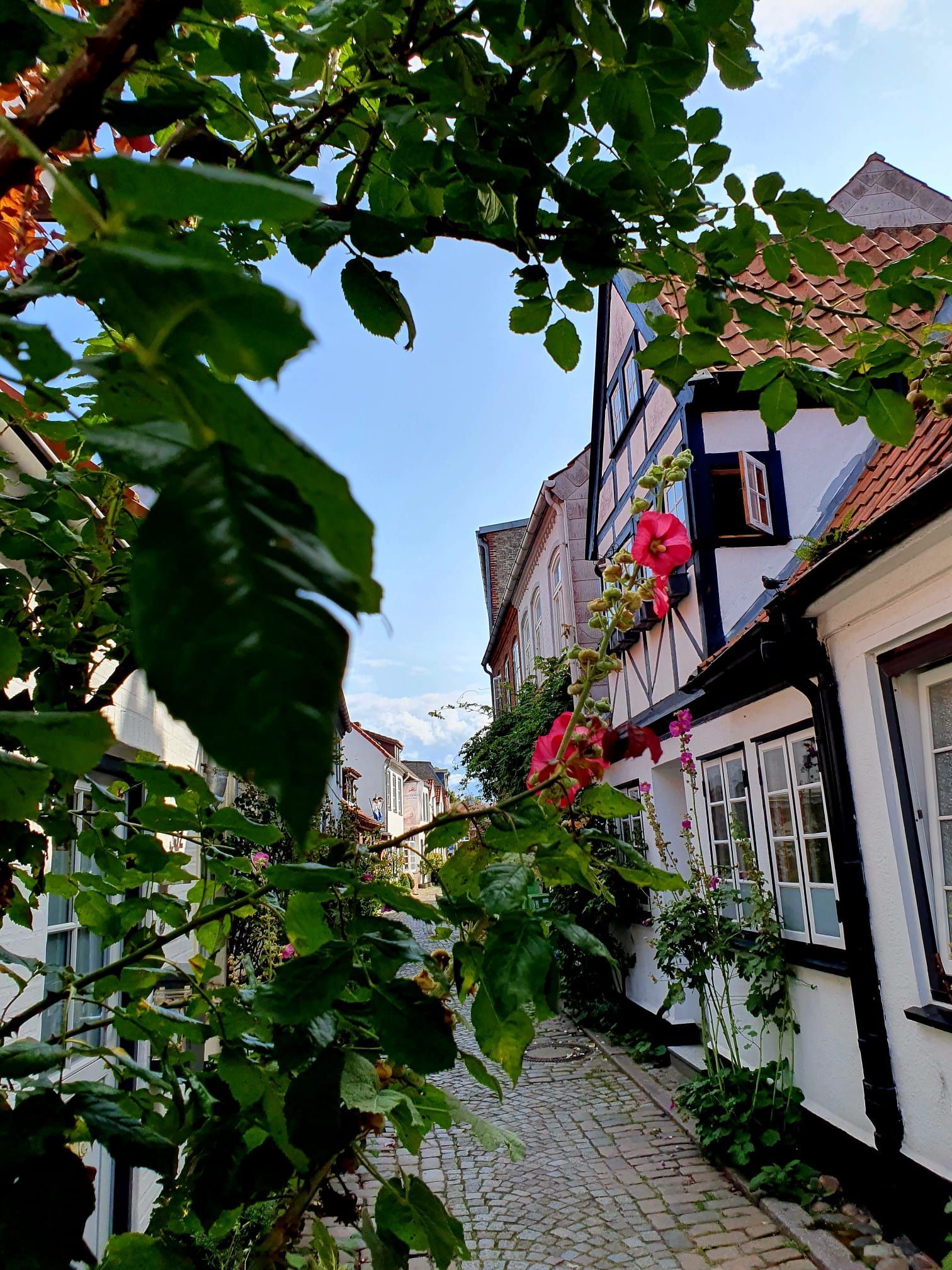 Was ist wahre Liebe und gibt es sie?